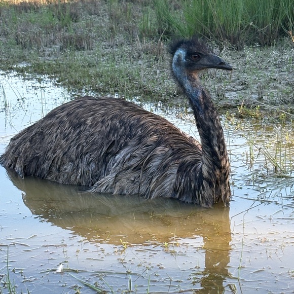 NEW Share Game (9) 2024 Please like new listing! - Picture 9 of 9